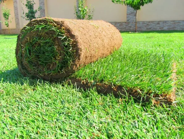 ترمیم و احیای فضای سبز بلوار شهید کسایی