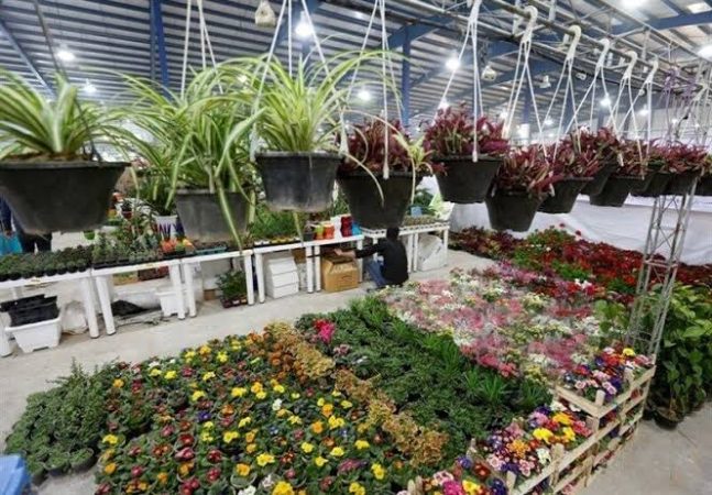 نمایشگاه‌های فصلی ؛ گامی برای پویایی و شادابی شهروندان مرندی
